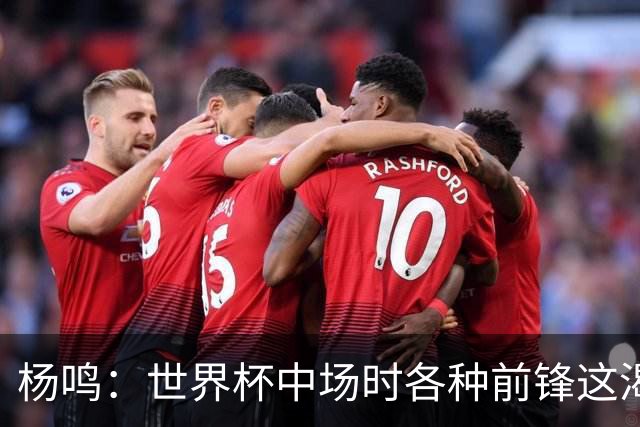 杨鸣：世界杯中场时各种前锋这渴了那饿了全来了 谁能记住后卫呢